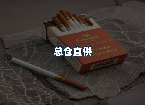 专业团队办公环境